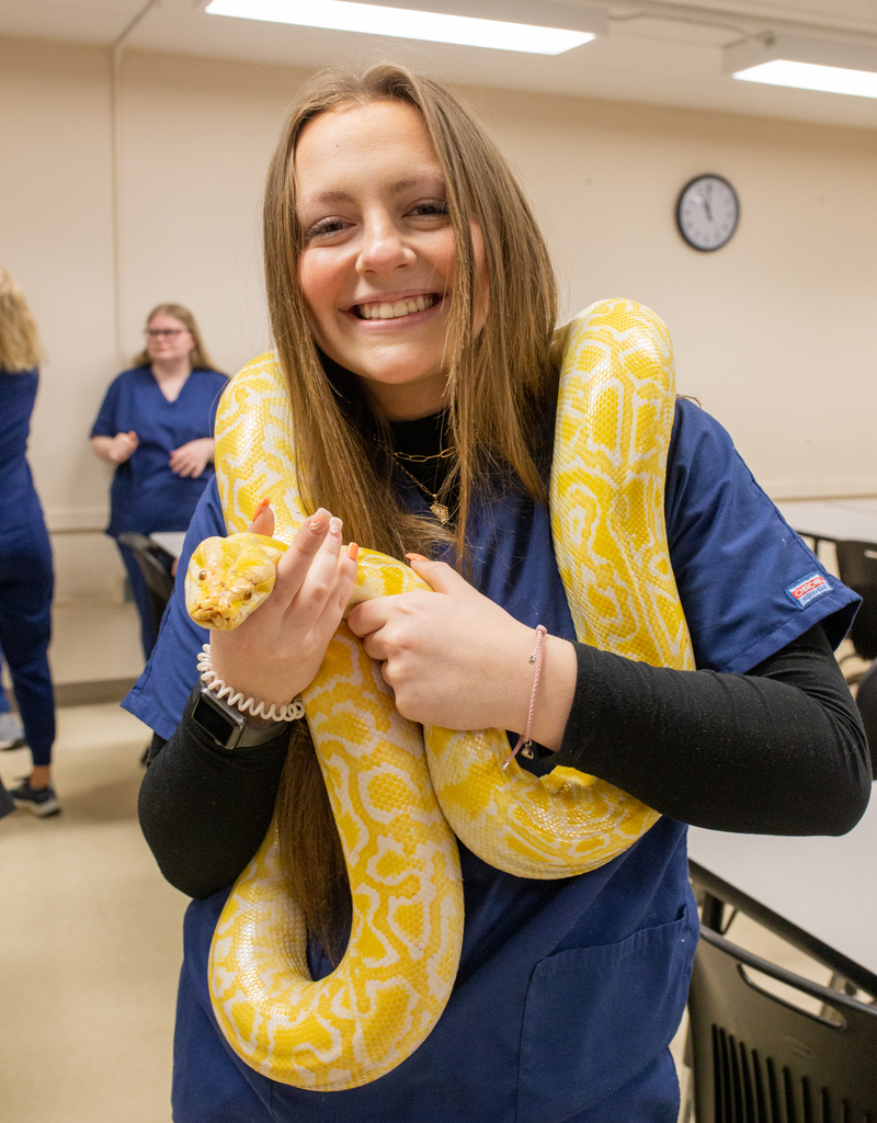 Female student in blue scrubs holding large yellow snake like the one used in the Britney Spears music video.