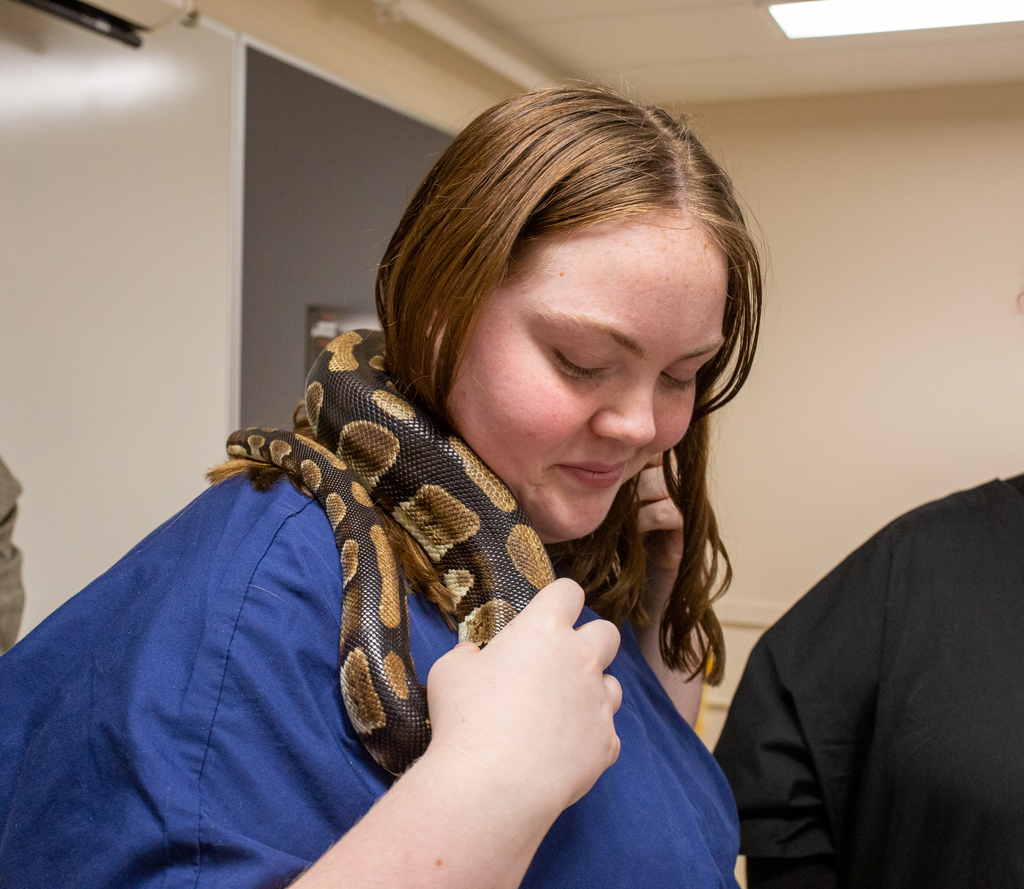 Female student in blue scrubs has a snake around her neck and shoulders. 